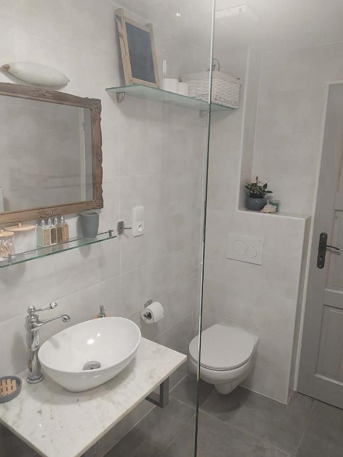 Apartma U Rybnicku Dolní Dunajovice